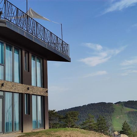 Vila Onyx Divčibare Buitenkant foto